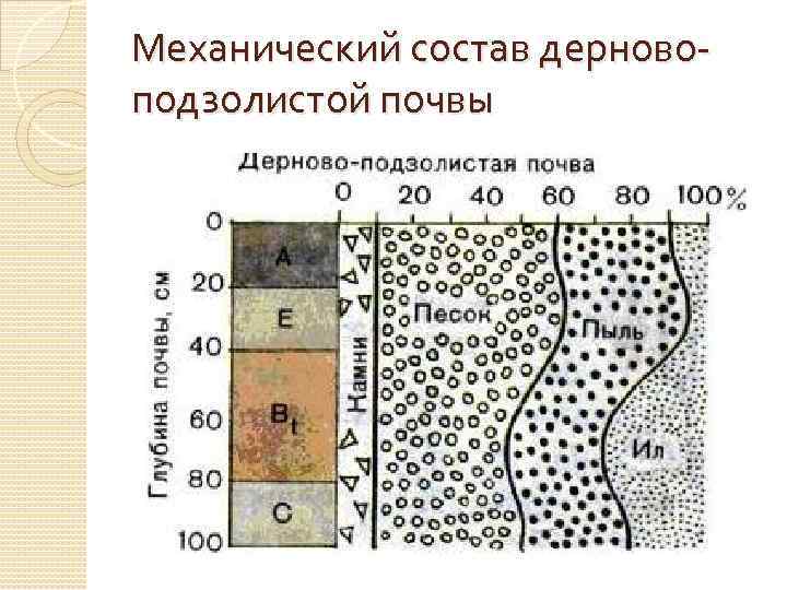 Механический состав дерновоподзолистой почвы 