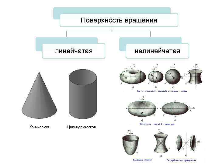 Поверхность вращения линейчатая Коническая нелинейчатая Цилиндрическая 20 