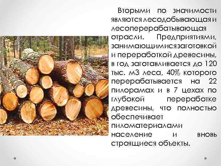 Вторыми по значимости являются лесодобывающая и лесоперерабатывающая отрасли. Предприятиями, занимающимися заготовкой и переработкой древесины,