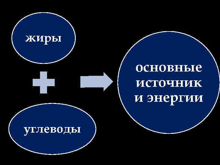 жиры основные источник и энергии углеводы 
