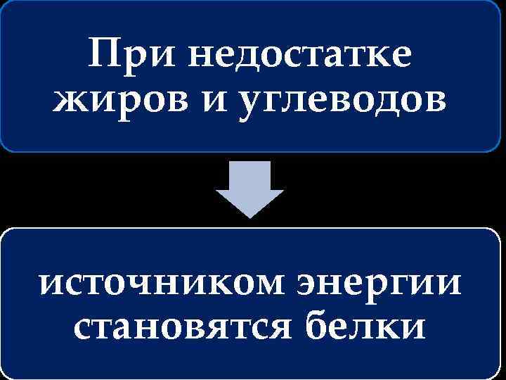 При недостатке жиров и углеводов источником энергии становятся белки 