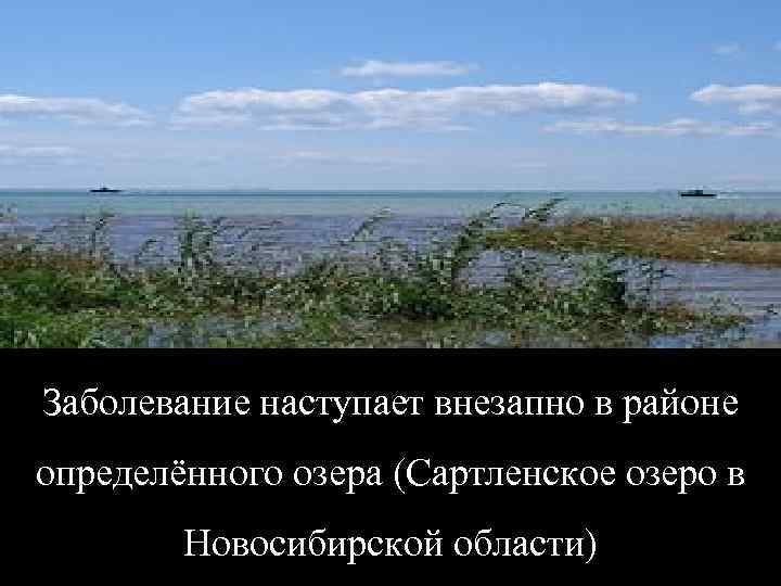 Заболевание наступает внезапно в районе определённого озера (Сартленское озеро в Новосибирской области) 