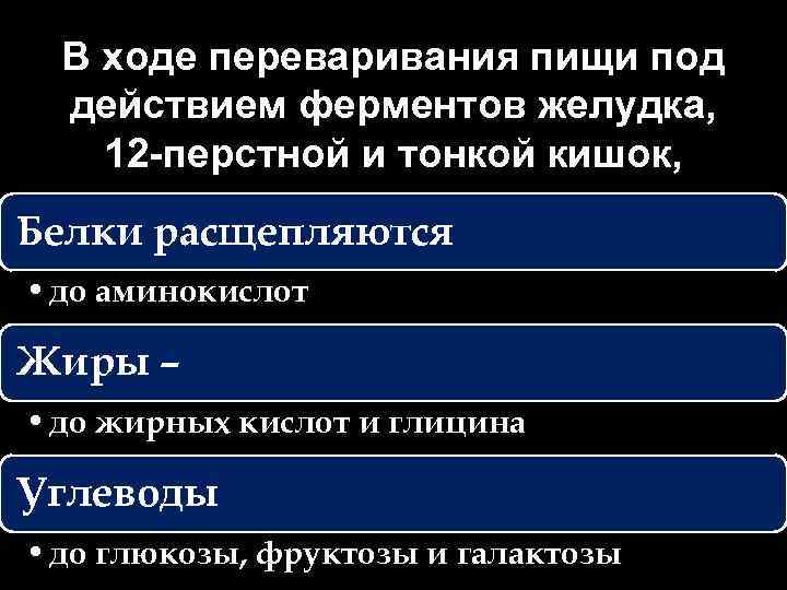 В ходе переваривания пищи под действием ферментов желудка, 12 -перстной и тонкой кишок, Белки