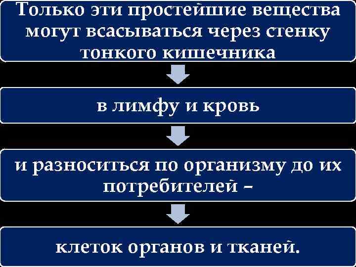 Только эти простейшие вещества могут всасываться через стенку тонкого кишечника в лимфу и кровь