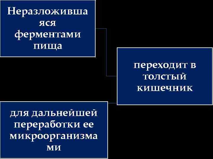 Неразложивша яся ферментами пища переходит в толстый кишечник для дальнейшей переработки ее микроорганизма ми