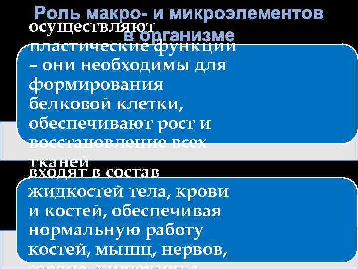 осуществляют пластические функции – они необходимы для формирования белковой клетки, обеспечивают рост и восстановление