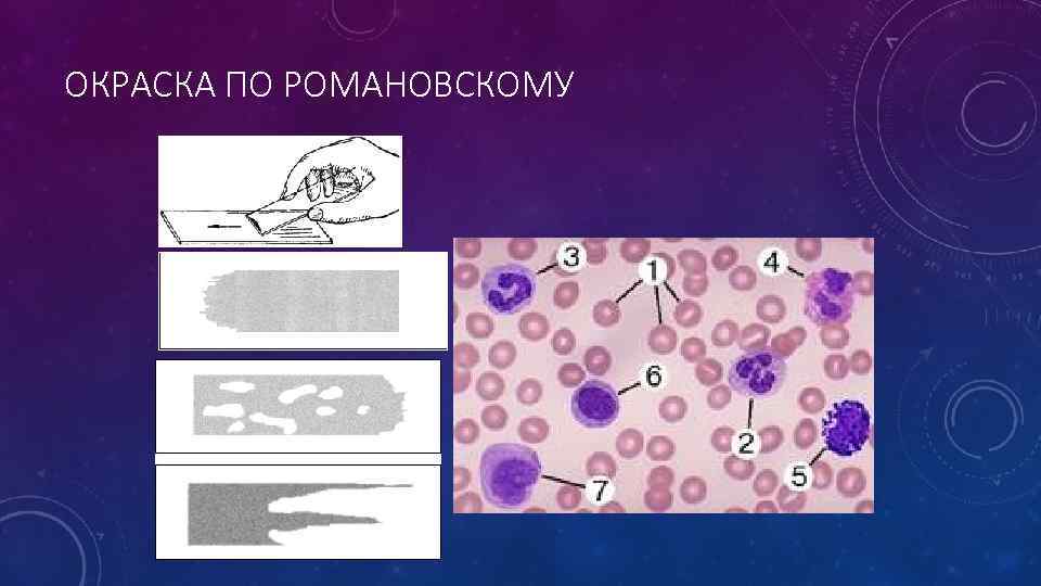 ОКРАСКА ПО РОМАНОВСКОМУ 