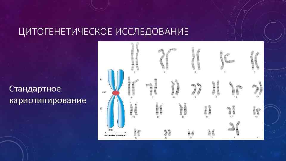 ЦИТОГЕНЕТИЧЕСКОЕ ИССЛЕДОВАНИЕ Стандартное кариотипирование 