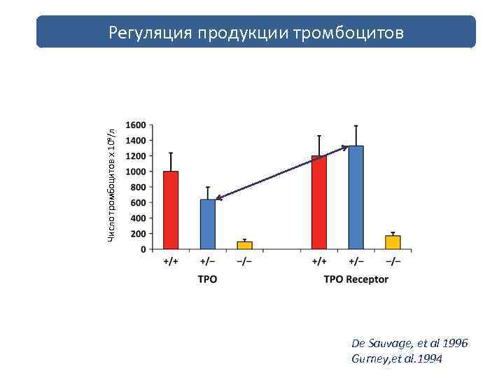 Число тромбоцитов х 109/л Регуляция продукции тромбоцитов De Sauvage, et al 1996 Gurney, et