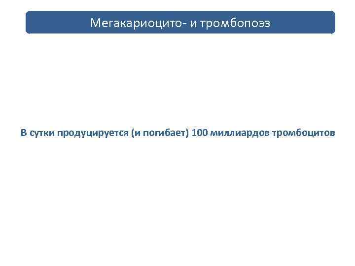 Мегакариоцито- и тромбопоэз В сутки продуцируется (и погибает) 100 миллиардов тромбоцитов 