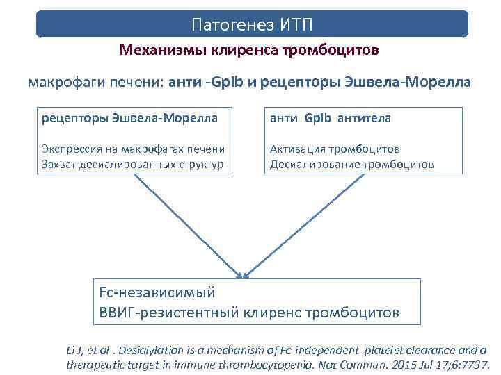 Патогенез ИТП Механизмы клиренса тромбоцитов макрофаги печени: анти -Gp. Ib и рецепторы Эшвела-Морелла анти