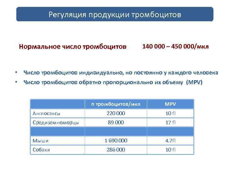 Регуляция продукции тромбоцитов Нормальное число тромбоцитов 140 000 – 450 000/мкл • Число тромбоцитов