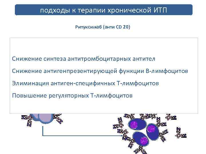 подходы к терапии хронической ИТП Ритуксимаб (анти СD 20) клиренс Снижение синтеза антитромбоцитарных антител