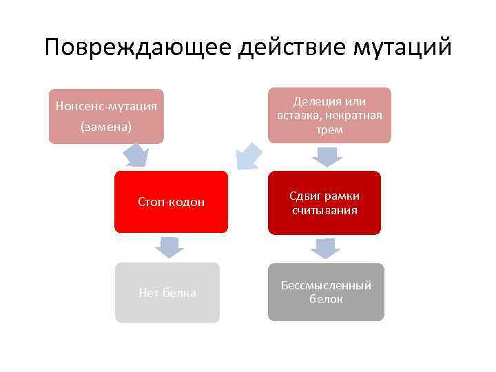 Повреждающее действие мутаций Нонсенс-мутация (замена) Делеция или вставка, некратная трем Стоп-кодон Сдвиг рамки считывания