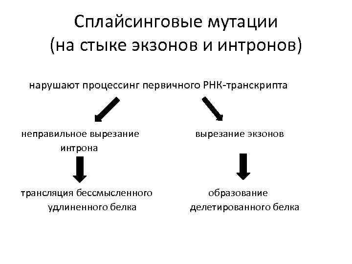 Сплайсинговые мутации (на стыке экзонов и интронов) нарушают процессинг первичного РНК-транскрипта неправильное вырезание вырезание