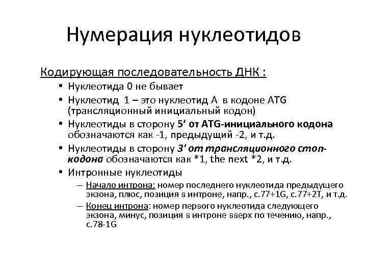 Нумерация нуклеотидов Кодирующая последовательность ДНК : • Нуклеотида 0 не бывает • Нуклеотид 1
