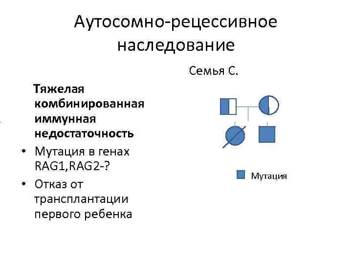 Аутосомно-рецессивное наследование Семья С. Тяжелая комбинированная иммунная недостаточность • Мутация в генах RAG 1,