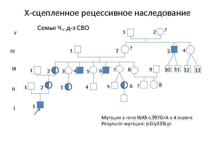 Х сцепленный рецессивный тип наследования схема