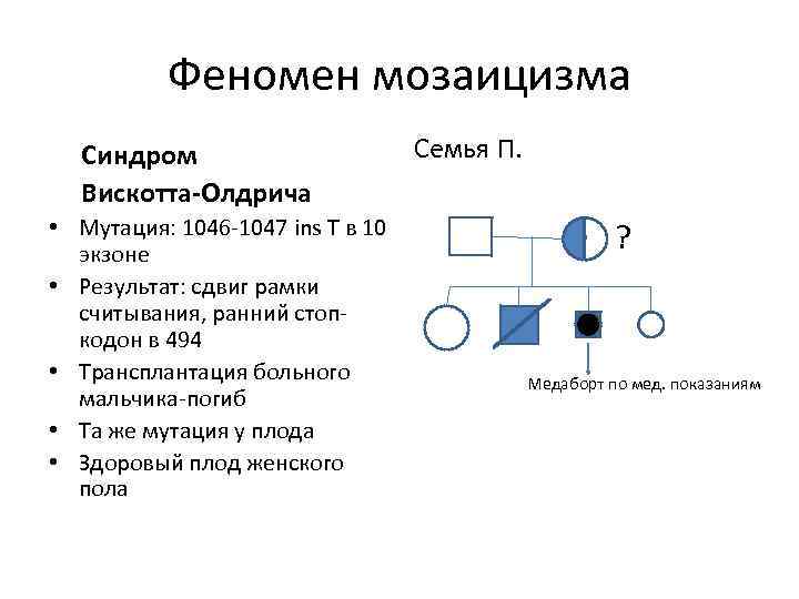 Феномен мозаицизма Синдром Вискотта-Олдрича • Мутация: 1046 -1047 ins T в 10 экзоне •