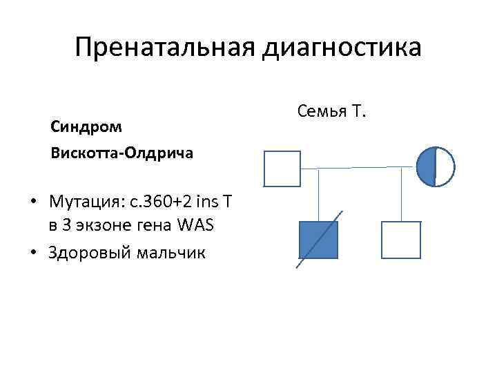 Пренатальная диагностика Синдром Вискотта-Олдрича • Мутация: с. 360+2 ins T в 3 экзоне гена