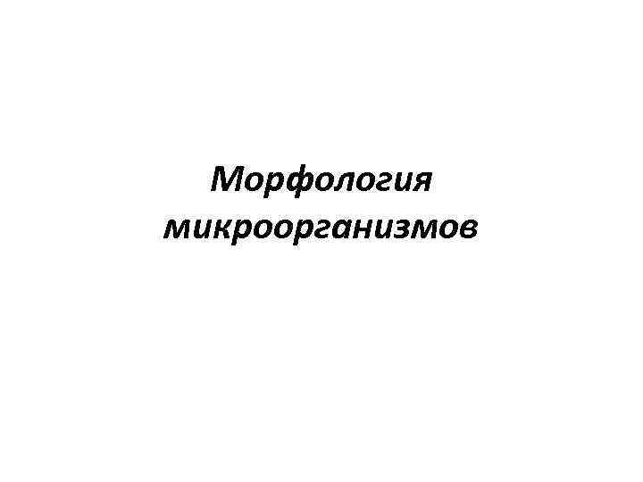 Морфология микроорганизмов 