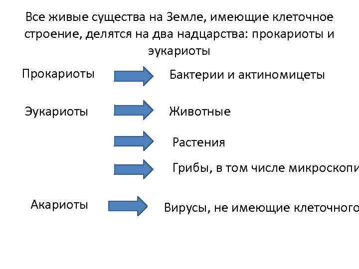 Все живые существа на Земле, имеющие клеточное строение, делятся на два надцарства: прокариоты и