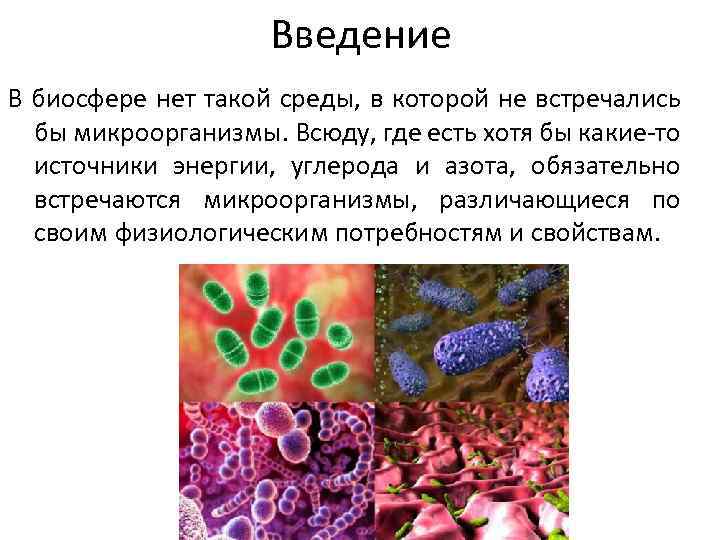 Введение В биосфере нет такой среды, в которой не встречались бы микроорганизмы. Всюду, где