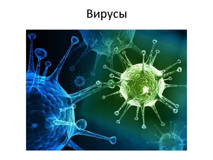 Вирусы 