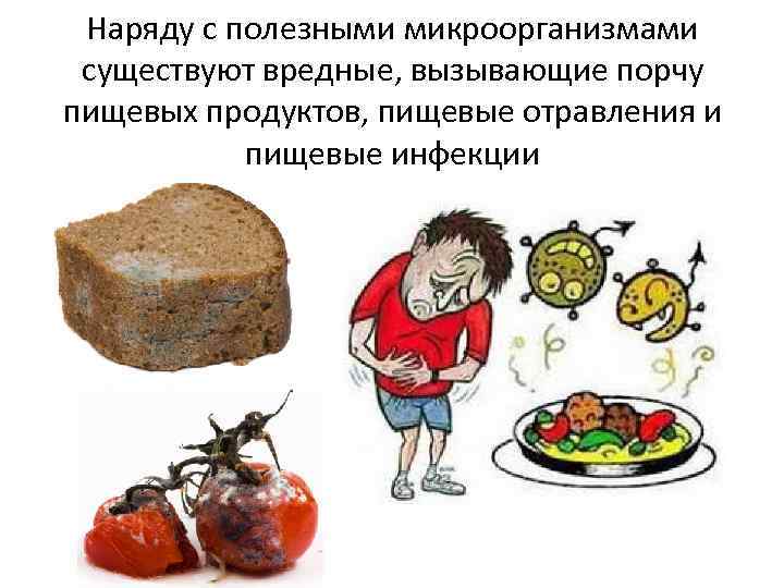 Наряду с полезными микроорганизмами существуют вредные, вызывающие порчу пищевых продуктов, пищевые отравления и пищевые