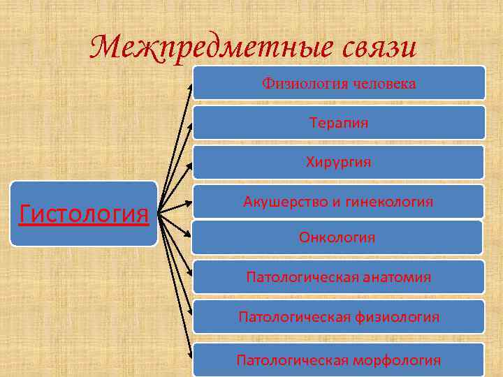 Межпредметные связи Физиология человека Терапия Хирургия Гистология Акушерство и гинекология Онкология Патологическая анатомия Патологическая