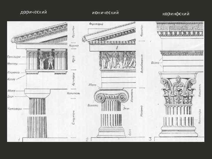 дорический ионический коринфский 