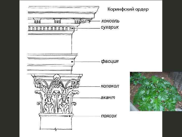 Коринфский ордер 