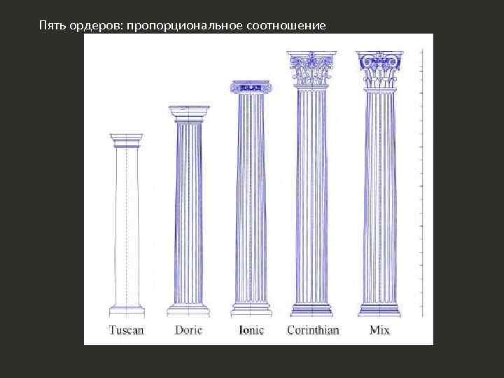 Пять ордеров: пропорциональное соотношение 