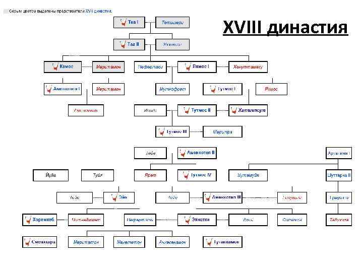 XVIII династия 