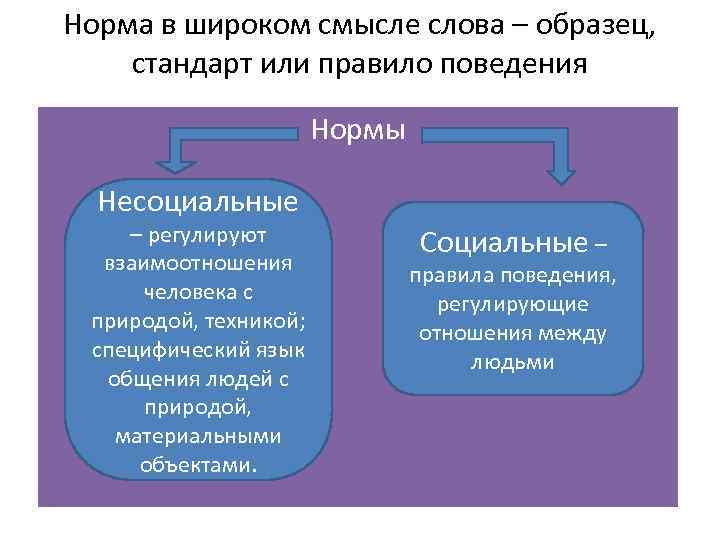 Норма в широком смысле слова – образец, стандарт или правило поведения Нормы Несоциальные –