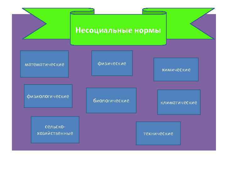 Несоциальные нормы математические физиологические сельскохозяйственные физические биологические химические климатические технические 