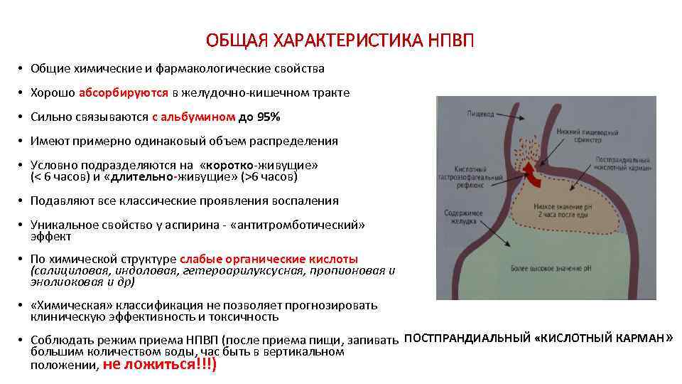 ОБЩАЯ ХАРАКТЕРИСТИКА НПВП • Общие химические и фармакологические свойства • Хорошо абсорбируются в желудочно-кишечном