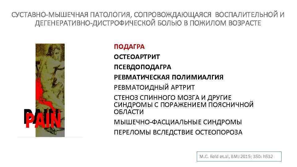 СУСТАВНО-МЫШЕЧНАЯ ПАТОЛОГИЯ, СОПРОВОЖДАЮЩАЯСЯ ВОСПАЛИТЕЛЬНОЙ И ДЕГЕНЕРАТИВНО-ДИСТРОФИЧЕСКОЙ БОЛЬЮ В ПОЖИЛОМ ВОЗРAСТЕ ПОДАГРА ОСТЕОАРТРИТ ПСЕВДОПОДАГРА РЕВМАТИЧЕСКАЯ