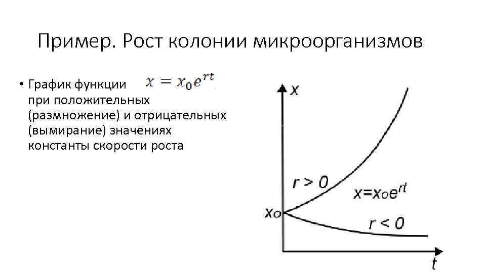 Пример. Рост колонии микроорганизмов • График функции при положительных (размножение) и отрицательных (вымирание) значениях