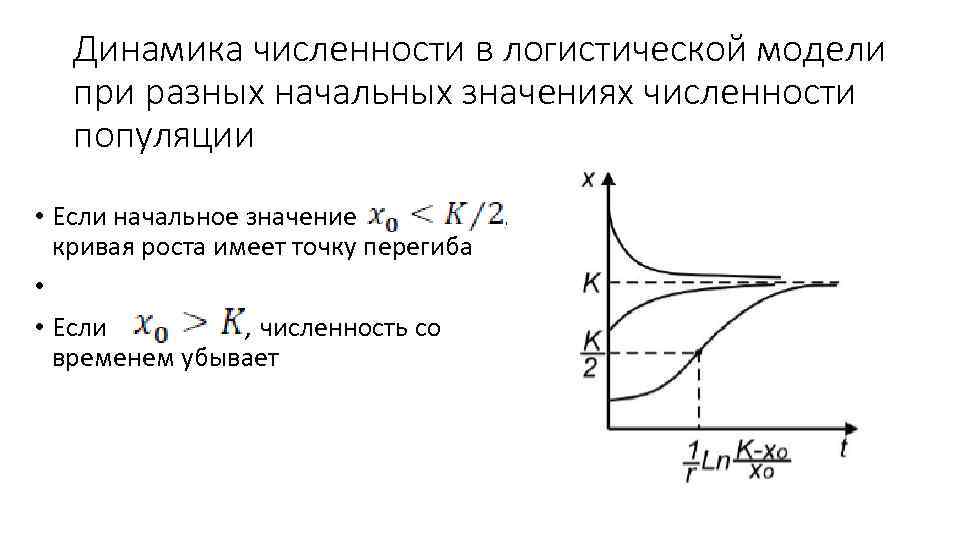 Динамика численности в логистической модели при разных начальных значениях численности популяции • Если начальное