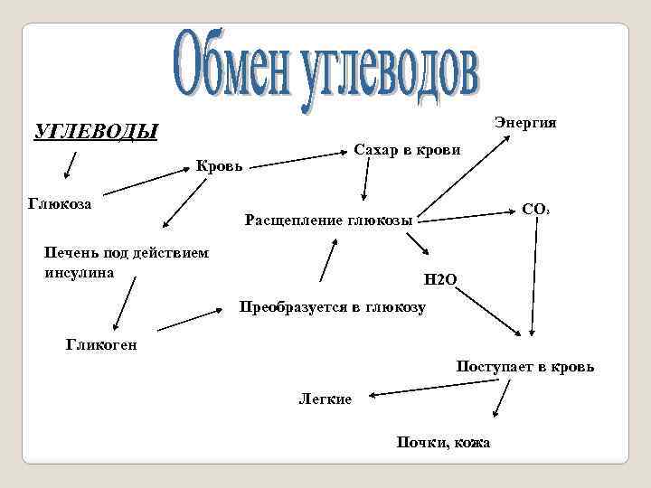 Энергия УГЛЕВОДЫ Сахар в крови Кровь Глюкоза CO 2 Расщепление глюкозы Печень под действием