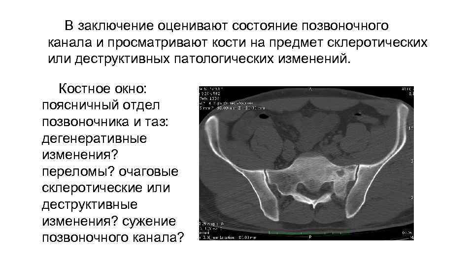 Органы брюшной полости у мужчин расположение в картинках