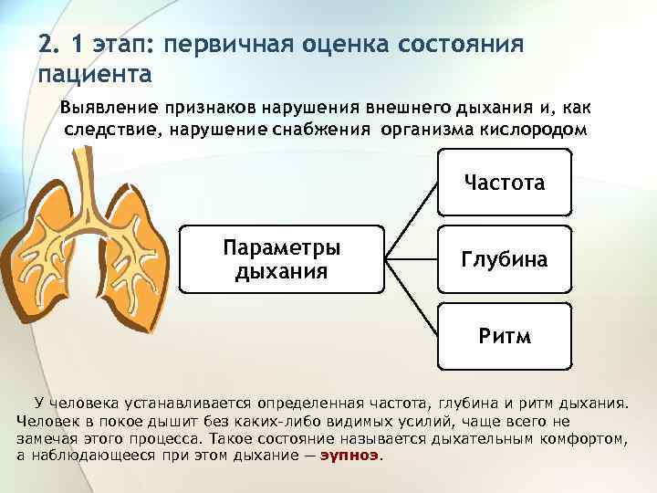 Первичная оценка. Оценка потребности в нормальном дыхании. 1 Этап. Первичная оценка состояния пациента. Потребность пациента в дыхании.