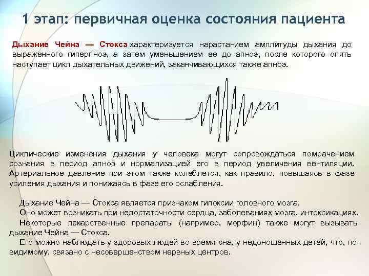 1 этап: первичная оценка состояния пациента Дыхание Чейна — Стокса характеризуется нарастанием амплитуды дыхания