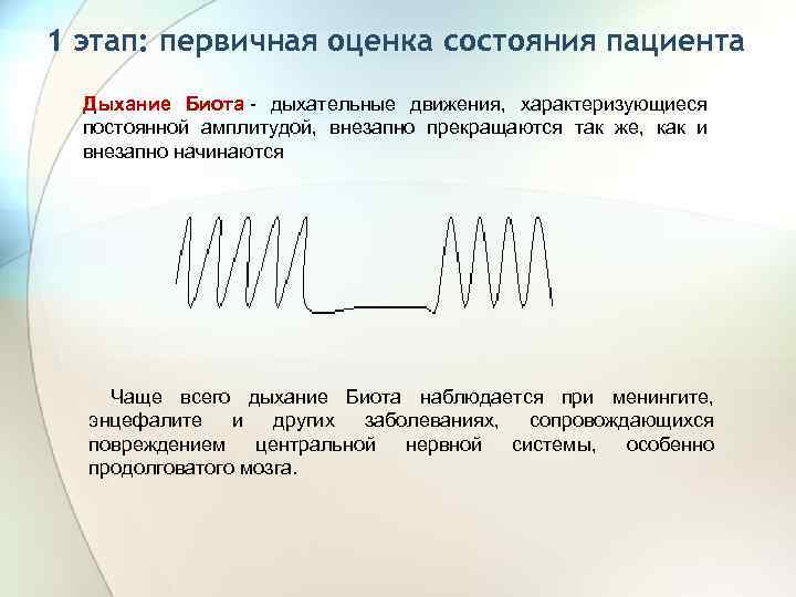 1 этап: первичная оценка состояния пациента Дыхание Биота - дыхательные движения, характеризующиеся постоянной амплитудой,