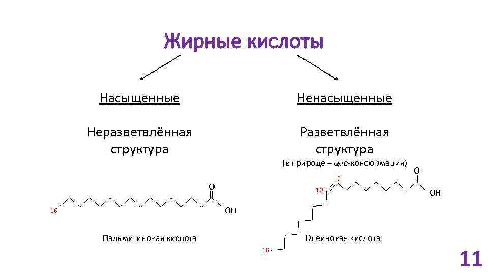 Жирные кислоты Насыщенные Ненасыщенные Неразветвлённая структура Разветвлённая структура (в природе – цис-конформация) 9 O