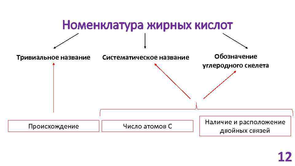 Номенклатура жирных кислот Тривиальное название Происхождение Систематическое название Число атомов C Обозначение углеродного скелета