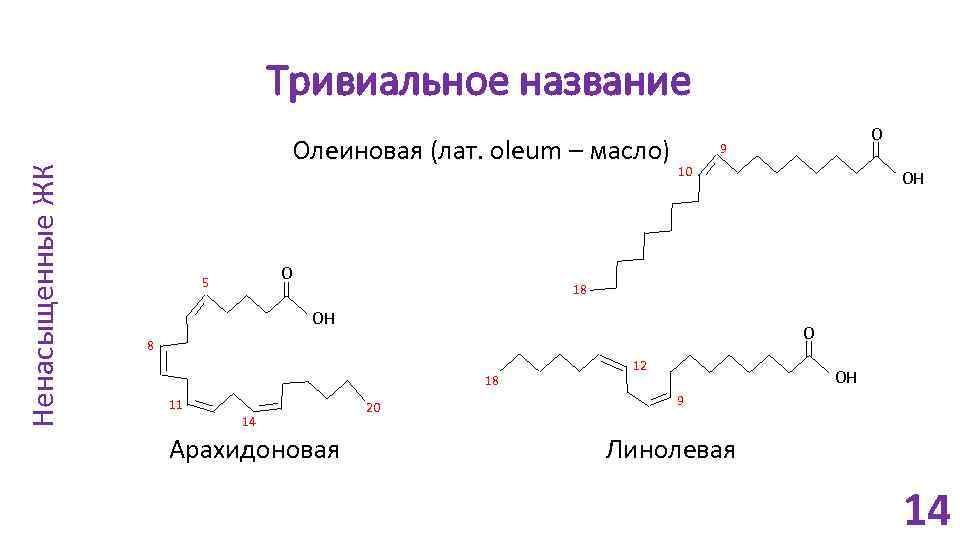 Ненасыщенные ЖК Тривиальное название Олеиновая (лат. oleum – масло) O 5 O 9 10