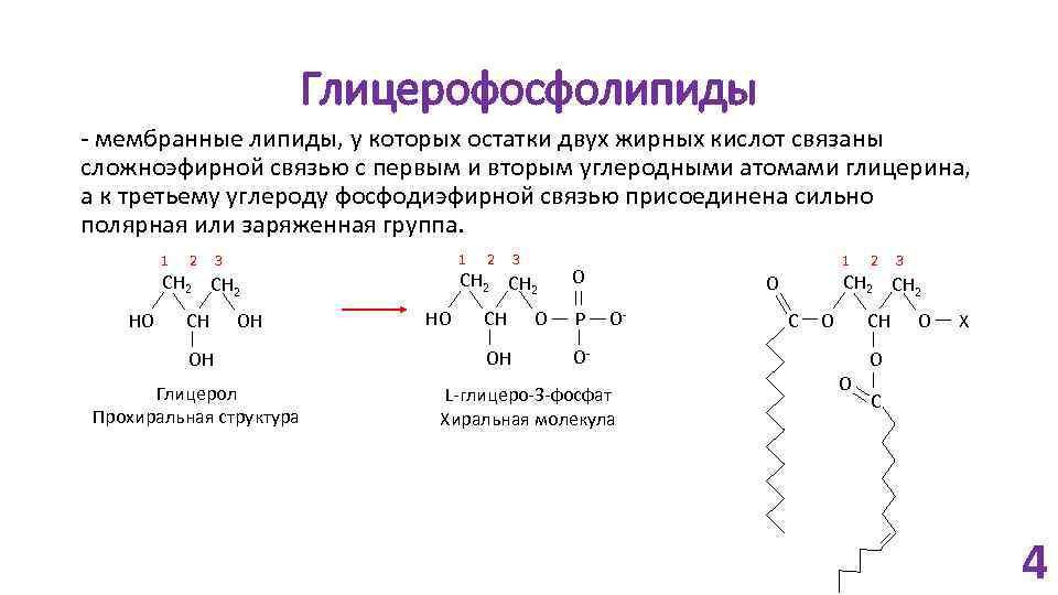 Окисление липидов и углеводов