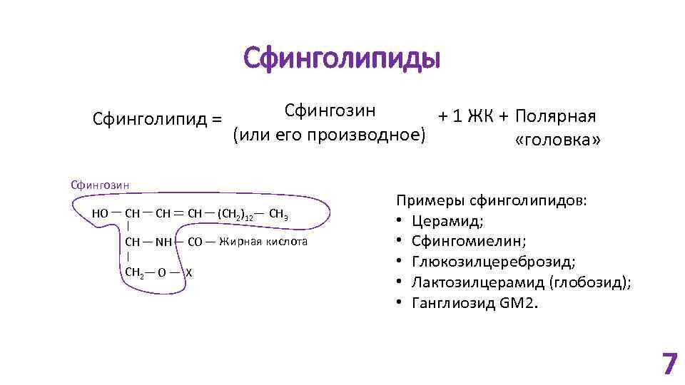 Сфинголипиды Сфинголипид = Сфингозин + 1 ЖК + Полярная (или его производное) «головка» Сфингозин